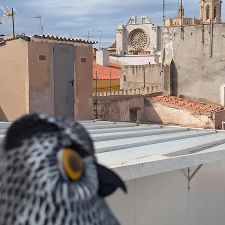 Atico Con Vistas A La Catedral *